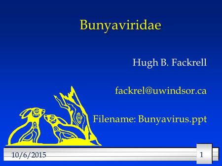 Hugh B. Fackrell Filename: Bunyavirus.ppt