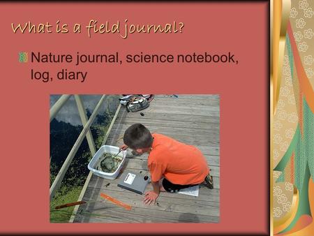 What is a field journal? Nature journal, science notebook, log, diary.