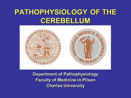 1 PATHOPHYSIOLOGY OF THE CEREBELLUM Department of Pathophysiology Faculty of Medicine in Pilsen Charles University Department of Pathophysiology Faculty.