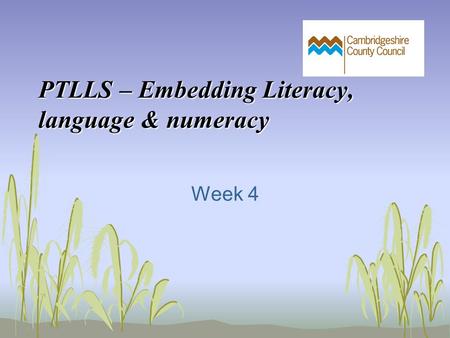 PTLLS – Embedding Literacy, language & numeracy Week 4.