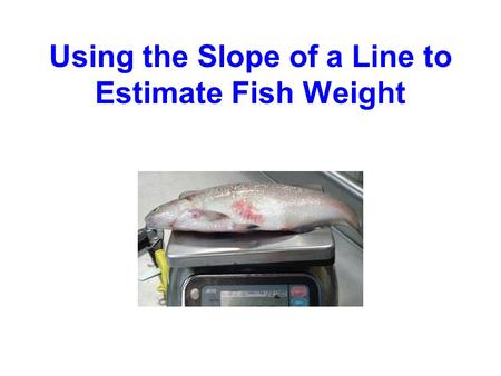 Using the Slope of a Line to Estimate Fish Weight.