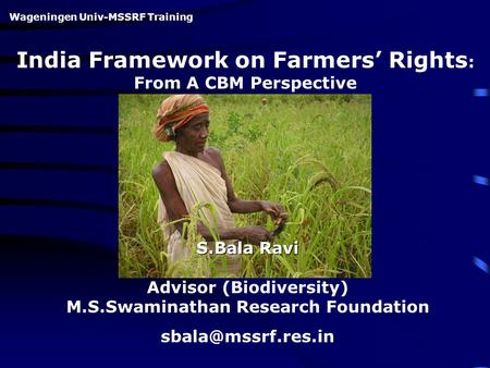 India Framework on Farmers’ Rights : From A CBM Perspective S.Bala Ravi Advisor (Biodiversity) M.S.Swaminathan Research Foundation Wageningen.