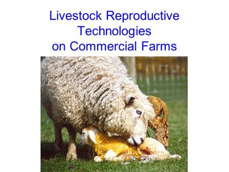 Livestock Reproductive Technologies on Commercial Farms.