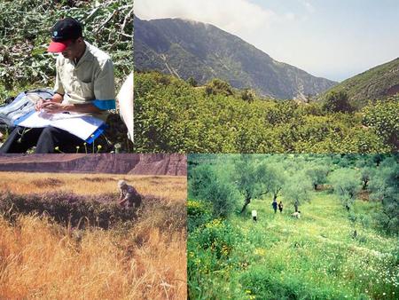 Genetic Reserve Conservation of Crop Wild Relatives: Establishing the Context Nigel Maxted University of Birmingham.