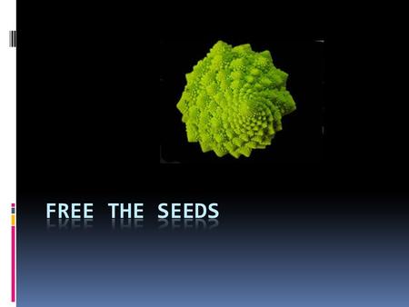 monopolisation of $ € € D  In 1985 global seed trade totalled 18 bn $ The four highest ranking companies covered 8 % of the market  In 2006 global seed.