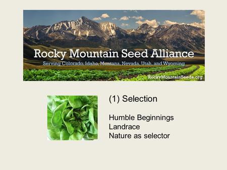 (1) Selection Humble Beginnings Landrace Nature as selector.