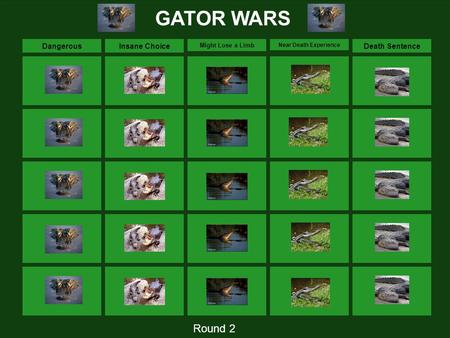 DangerousInsane Choice Might Lose a Limb Near Death Experience Death Sentence GATOR WARS Round 2.