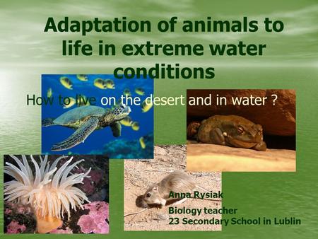 Adaptation of animals to life in extreme water conditions How to live on the desert and in water ? Anna Rysiak Biology teacher 23 Secondary School in Lublin.