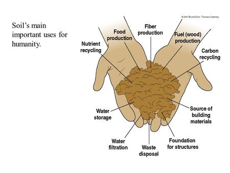 Soil’s main important uses for humanity.. 1. Sand has higher percolation than soil 2. Water will not leach right through, but give plants time to.