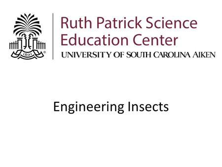 Engineering Insects. Engineers Engineers make things to solve problems and to help people. We can observe nature in action and use that knowledge to inspire.