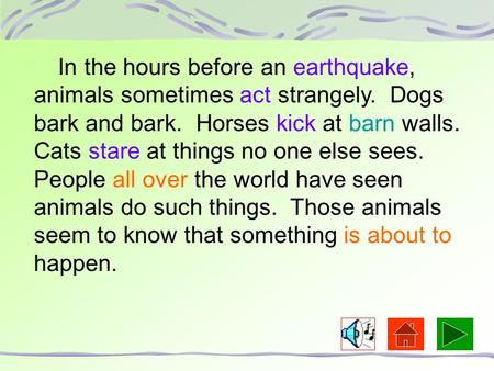 In the hours before an earthquake, animals sometimes act strangely. Dogs bark and bark. Horses kick at barn walls. Cats stare at things no one else sees.