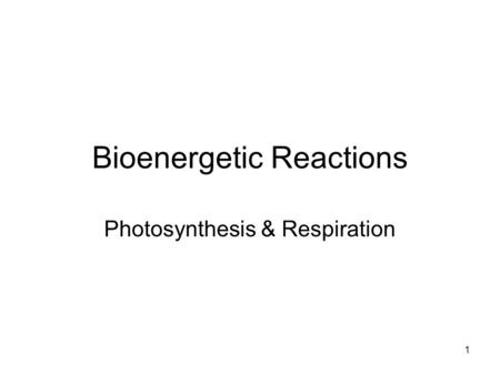 Bioenergetic Reactions