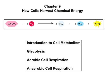 How Cells Harvest Chemical Energy