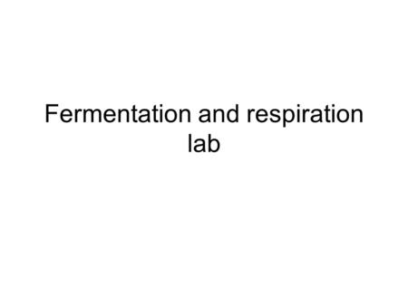 Fermentation and respiration lab. Outline of the day 1.Turn in your lab reports at the front –More than 10 minutes late = bad 2.Any questions on last.