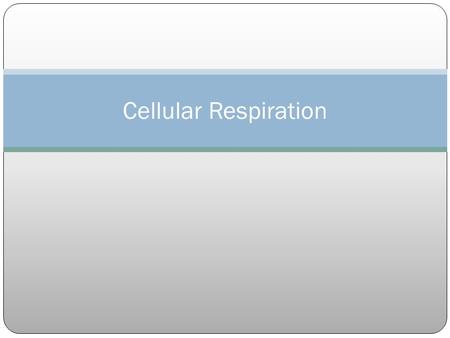 Cellular Respiration.