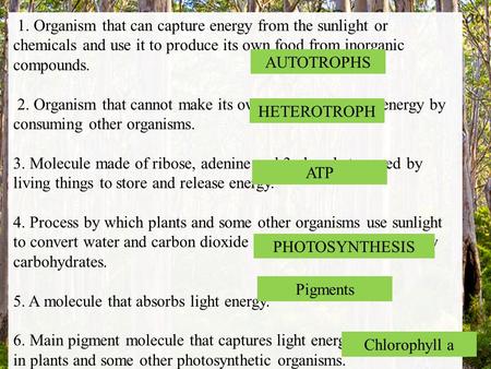  1. Organism that can capture energy from the sunlight or chemicals and use it to produce its own food from inorganic compounds.    2. Organism that cannot.