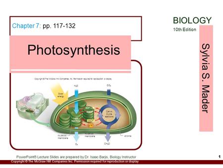 Sylvia S. Mader Copyright © The McGraw Hill Companies Inc. Permission required for reproduction or display PowerPoint® Lecture Slides are prepared by Dr.