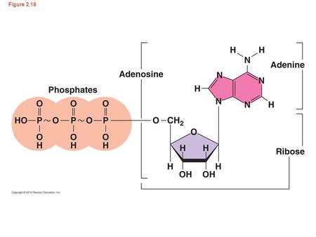 Figure 2.18. Copyright © 2010 Pearson Education, Inc. Collision Theory  The collision theory states that chemical reactions can occur when atoms, ions,