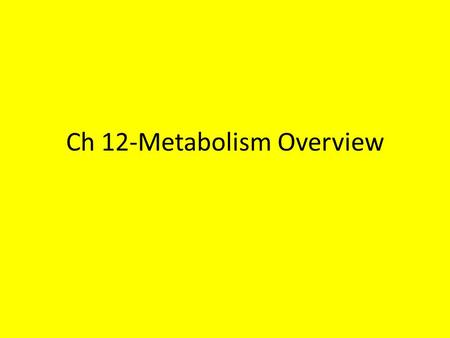 Ch 12-Metabolism Overview