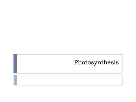 Photosynthesis. Ecological Significance  Photosynthesis- the process that converts light energy to chemical energy  Autotrophs- “self + feeders” 