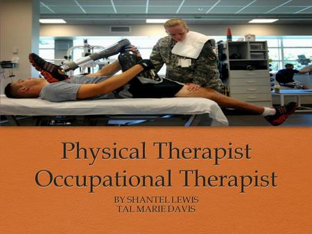 OVERVIEW  Physical Therapist- A certified professional who helps with physical ailment by providing exercises. Physical Therapist help injured or ill.