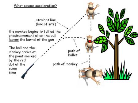 What causes acceleration? straight line (line of site) path of bullet path of monkey the monkey begins to fall ad the precise moment when the ball leaves.