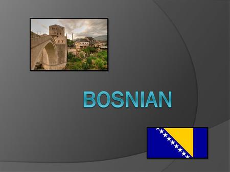 Where did they come from?  Illyrians Who were they ruled by?  535-554 Ostrogoths – King Theodonz  955 Servian – Prince Ceslav  968 Croatian – King.