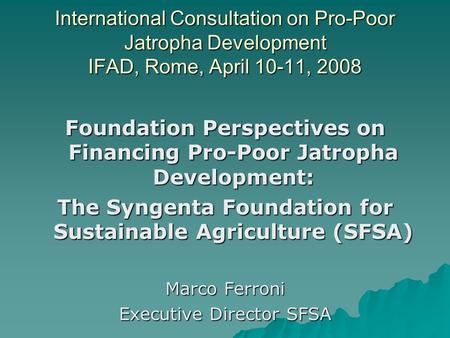 International Consultation on Pro-Poor Jatropha Development IFAD, Rome, April 10-11, 2008 Foundation Perspectives on Financing Pro-Poor Jatropha Development: