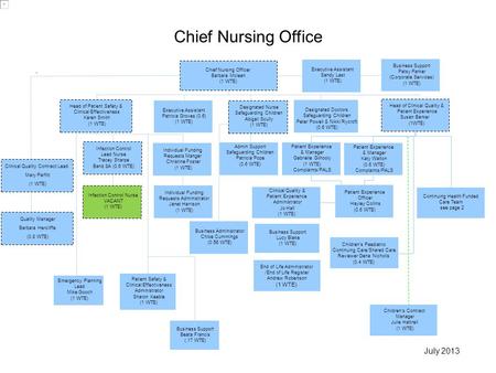 Chief Nursing Officer Barbara Mclean (1 WTE) Executive Assistant Patricia Groves (0.6) (1 WTE) Infection Control Lead Nurse Tracey Sharpe Band 8A (0.6.