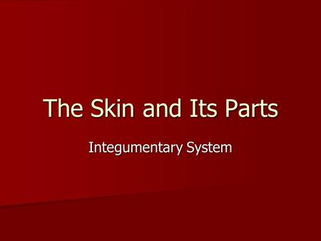 The Skin and Its Parts Integumentary System. A complex association of tissues and cells that play critical roles in maintaining homeostasis. A complex.