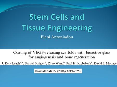 Eleni Antoniadou. Background Critical-sized bone defects Do not heal spontaneously 500,000 bone repair procedures annually Trauma Resection Abnormal development.