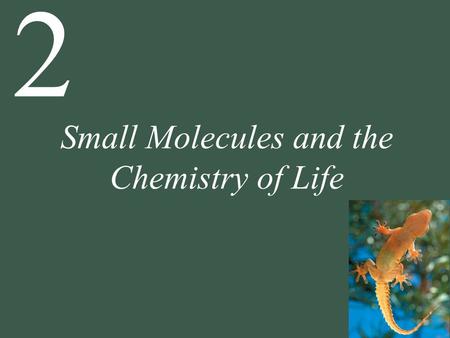 2 Small Molecules and the Chemistry of Life. 2 Small Molecules and the Chemistry of Life 2.1 How Does Atomic Structure Explain the Properties of Matter?