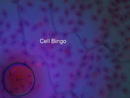 Cell Bingo. Cell Bingo! Eukaryote Prokaryote Cell membrane PhospholipidsHypertonic Hypotonic Isotonic Diffusion Osmosis Active transportPassive transport.