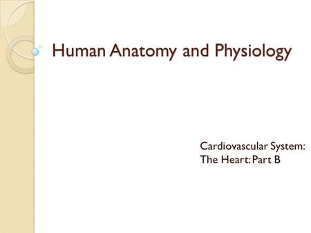 Human Anatomy and Physiology