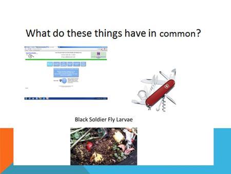 WHAT IS “HOWSYOURHEALTH” Patient entered web based survey that gathers determinants of health and health care. Produces a summary of health assets / needs.