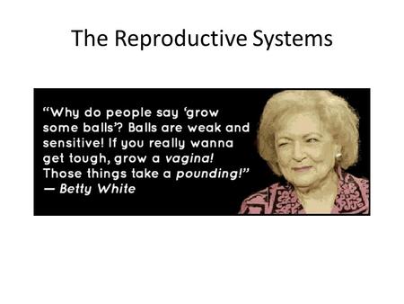 The Reproductive Systems. By the end of this class you should understand: The key organs and functions of both male and female reproductive systems The.