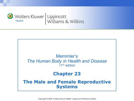 Copyright © 2009 Wolters Kluwer Health | Lippincott Williams & Wilkins Memmler’s The Human Body in Health and Disease 11 th edition Chapter 23 The Male.