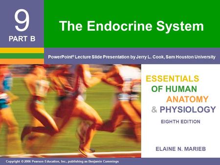 The Endocrine System.