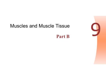 Copyright © 2004 Pearson Education, Inc., publishing as Benjamin Cummings Human Anatomy & Physiology, Sixth Edition Elaine N. Marieb PowerPoint ® Lecture.