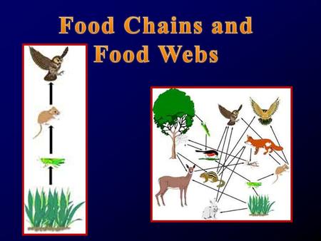 Autotrophs/Producers A groups of organisms that can use the energy in sunlight to convert water and carbon dioxide into Glucose (food) Autotrophs are.