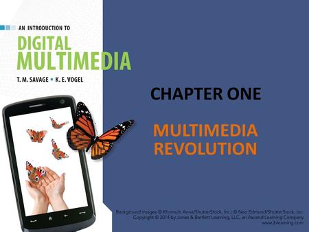 MULTIMEDIA REVOLUTION