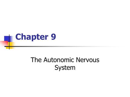 The Autonomic Nervous System