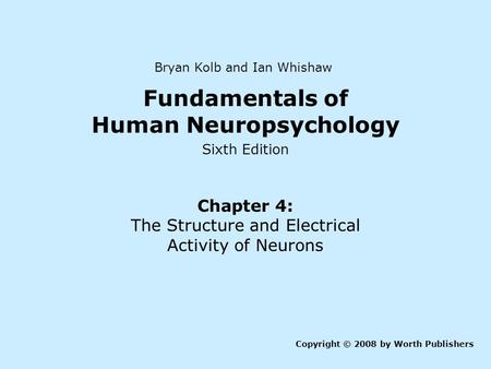 Fundamentals of Human Neuropsychology