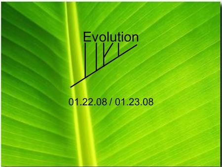 Evolution 01.22.08 / 01.23.08. What if I don’t believe it? Consider Acts 17:22-23 –Paul then stood up in the meeting of the Areopagus and said: Men of.