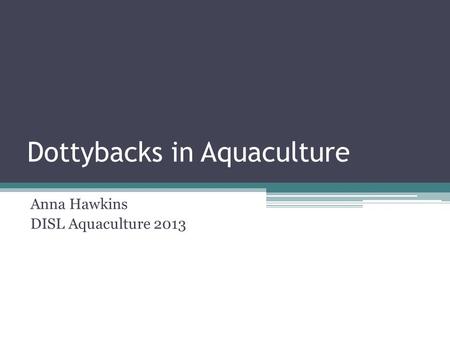 Dottybacks in Aquaculture Anna Hawkins DISL Aquaculture 2013.