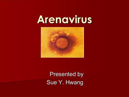 Arenavirus Presented by Presented by Sue Y. Hwang.