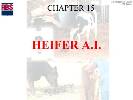 A.I. Management Manual Fifth Edition CHAPTER 15 HEIFER A.I.