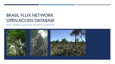 BRASIL FLUX NETWORK OPEN ACCESS DATABASE SCOTT SALESKA’S LAB AT THE UNIVERSITY OF ARIZONA.