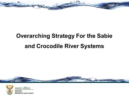 Overarching Strategy For the Sabie and Crocodile River Systems.