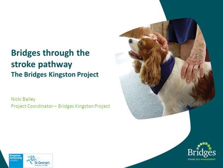 Bridges through the stroke pathway The Bridges Kingston Project Nicki Bailey Project Coordinator – Bridges Kingston Project.